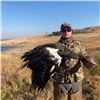 Image 4 : 6-Day & 7- Night South Africa Waterfowl and Upland Hunt for 2!