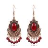Image 1 : Native American Style Women's Earrings