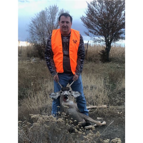 Wyoming Commissioners License