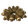 Image 1 : CIRCLE OF CARVED MUSKOX BY JONASIE FABER - STONE