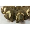 Image 3 : CIRCLE OF CARVED MUSKOX BY JONASIE FABER - STONE