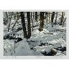 Image 2 : "WINTER CREEK" BY JOHN BERN - FRAMED PRINT 