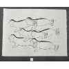 Image 1 : "HALF FISH, HALF HUMAN" BY IRENE AVAALAAQIAQ - LC & STENCIL - BAKER LAKE 1978