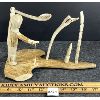 Image 2 : "MAN W/ FISHING TOOLS" BY NOAH ANNANACK - ANTLER