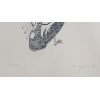 Image 2 : BIRD BY KAMAGIMAK - FRAMED LITHOGRAPH