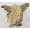 Image 2 : OUTSTRETCHED MAN - CARVED WHALE BONE - SIGNED 