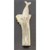 Image 2 : TWO SEALS ON DRIFTWOOD - ANTLER