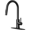 Image 1 : NEW OPEN BOX FORIOUS MATTE BLACK KITCHEN PULL DOWN