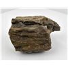 Image 4 : Large Petrified Wood Specimen
