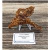 Image 2 : Native Copper Specimen Queensland Australia