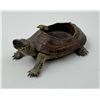 Image 1 : Victorian Taxidermy Turtle Ashtray