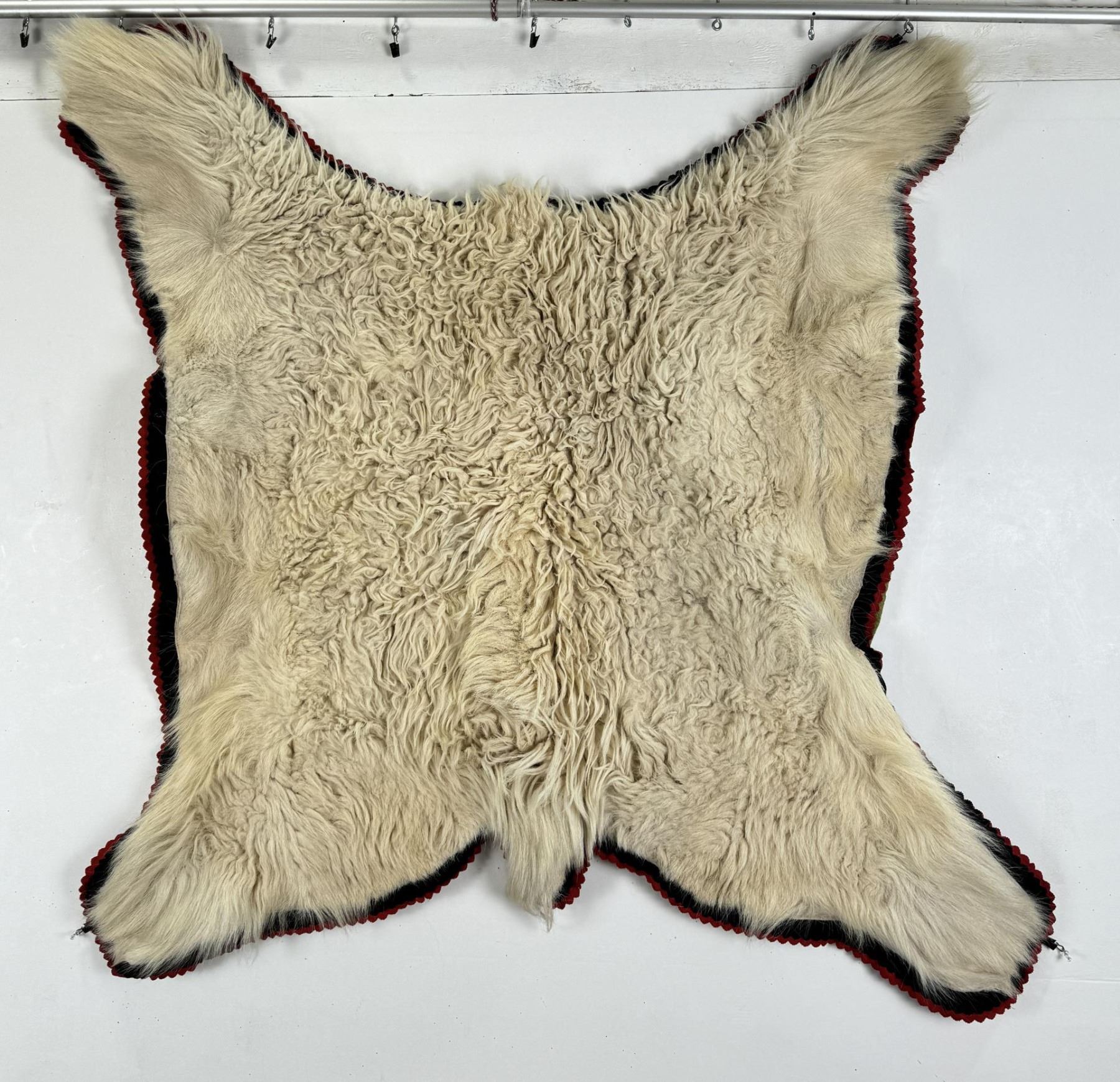 Montana Taxidermy Mountain Goat Rug
