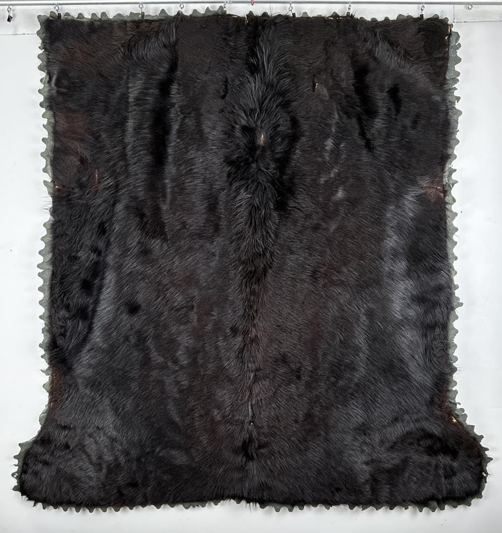Antique Bear Skin Lap Sleigh Robe
