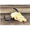 Image 2 : Bob Scriver Buffalo Skull Plaster Model