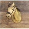 Image 1 : Charles M Russell Quarterhorse Plaster Model