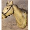 Image 8 : Charles M Russell Quarterhorse Plaster Model