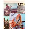 Image 2 : Ted Nugent Autographed Poster