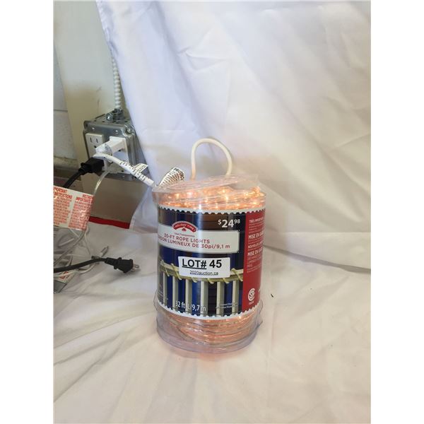 HOLIDAY TIME ROPE LIGHTS 30FT - CLEAR