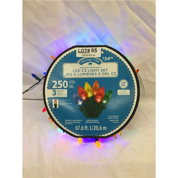 HOLIDAY TIME INDOOR/OUTDOORLIGHT SET 250 LED'S