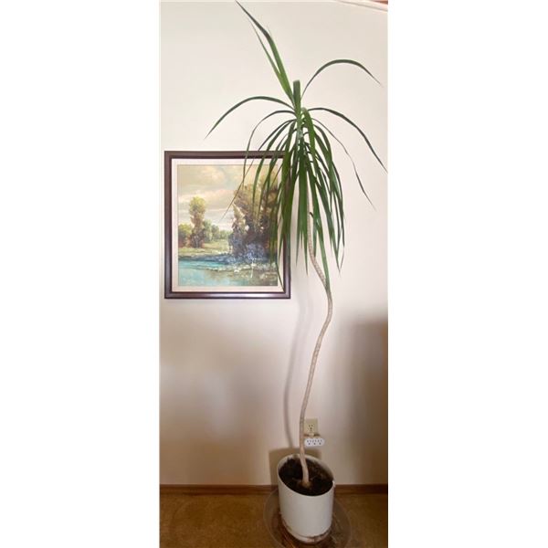 Decorative Plant With Framed Painting