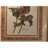 Image 2 : Set Of Framed Decorative Floral Prints 17 x 13 
