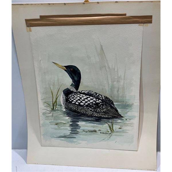 P Karsten 1969 Watercolour Original of Yellow-Billed Loon   13.5 Wx17.5H
