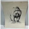 Image 1 : P Karsten 1975 Print of Bear Sketch