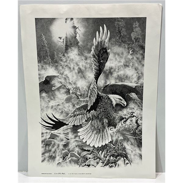 Bill O'Neill 1982 Print of Timberline Bald Eagle 14Wx20H