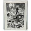Image 1 : Bill O'Neill 1982 Print of Timberline Bald Eagle 14Wx20H