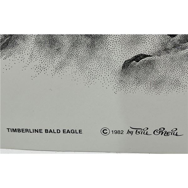 Bill O'Neill 1982 Print of Timberline Bald Eagle 14Wx20H - Beck