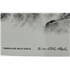 Image 2 : Bill O'Neill 1982 Print of Timberline Bald Eagle 14Wx20H