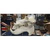 Image 2 : Genuine hippo skull 27"x21"x20" No out of country shipping