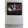 Image 1 : Sidney Crosby Team Canada 2005 World Junior Champions Frame - 22" x 18"