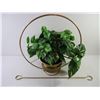 Image 3 : Brass Plant Hanger with Silk Plant