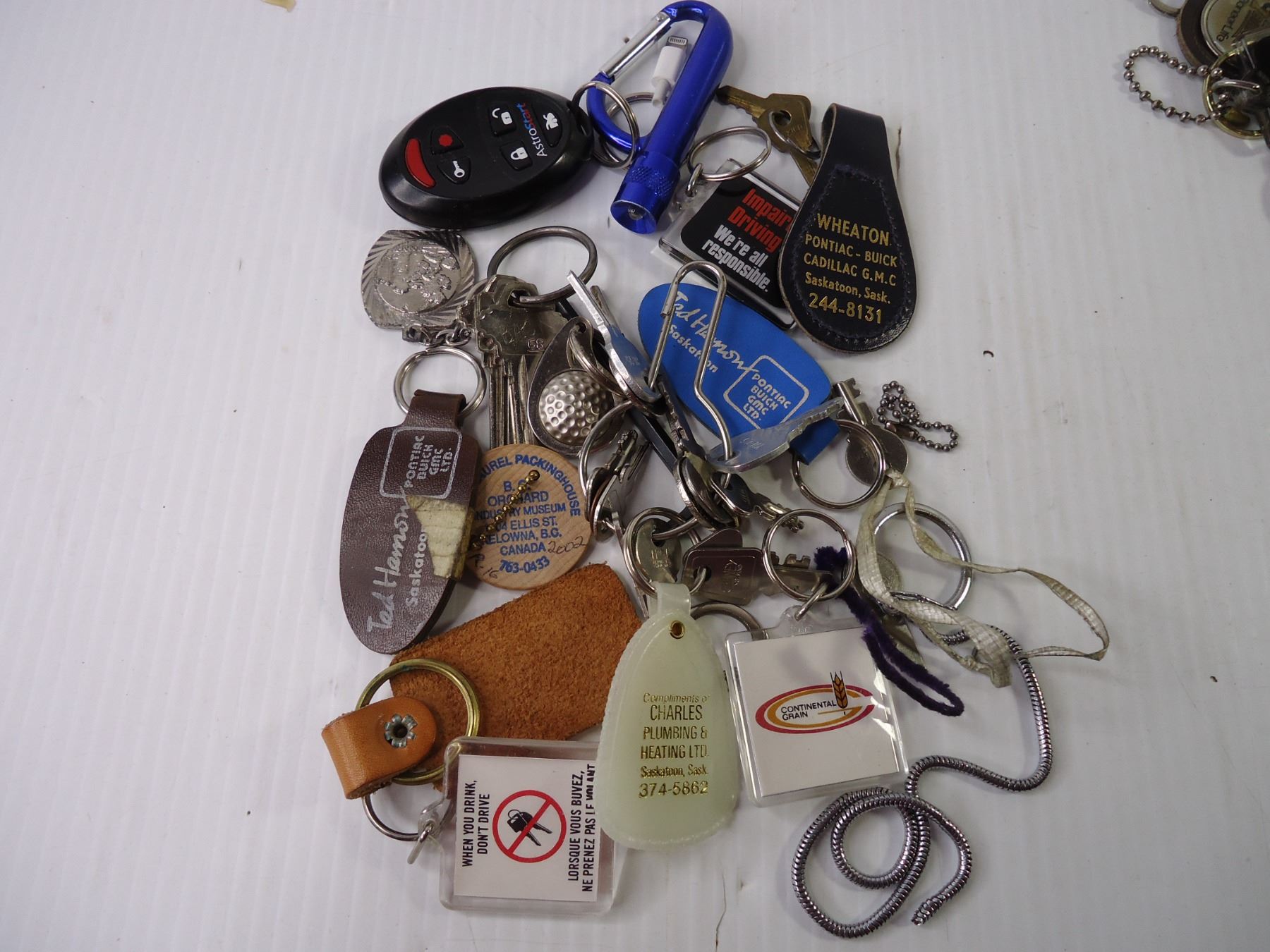Large Container of Key Chains, Keys, Locks and misc. - Bodnarus ...