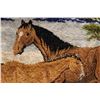 Image 2 : Horse Tasselled Blanket