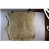Image 3 : Authentic Tanned Sheepskin Rug (46x34")