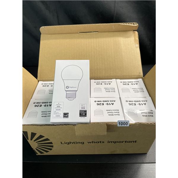 Lot of 1 Box of Brightown A19-E26 Base Lightbulbs - Warm White - 8 Pack - Brand New