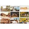 Image 3 : American Indian 90+ Postcards