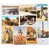 Image 9 : American Indian 90+ Postcards