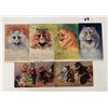 Image 1 : Animals - Cats Louis Wain & Arthur Thiels Postcards 6
