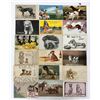 Image 1 : Animals - Dogs 40+ Postcards