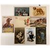 Image 3 : Animals - Dogs 40+ Postcards