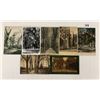 Image 2 : Chico, California Postcards 50+