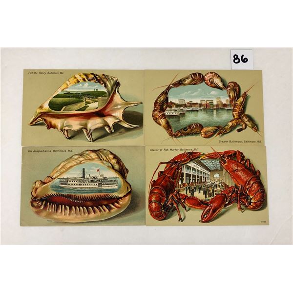 Shellborder & Shellfish Baltimore Postcards 6