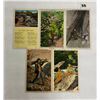 Image 4 : Box of Ashville Publishing Postcards Approx. 400