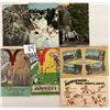 Image 3 : California Sorted Subject Postcards Approx. 300