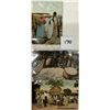 Image 7 : Black Americana 36 Postcards