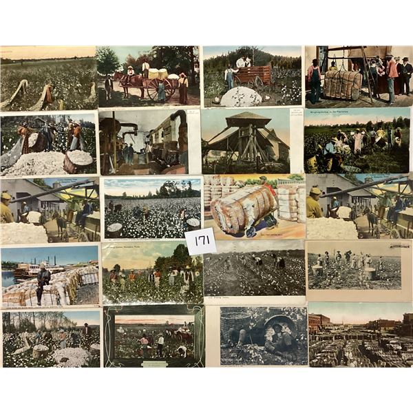 Black Americana with Cotton Postcards 36