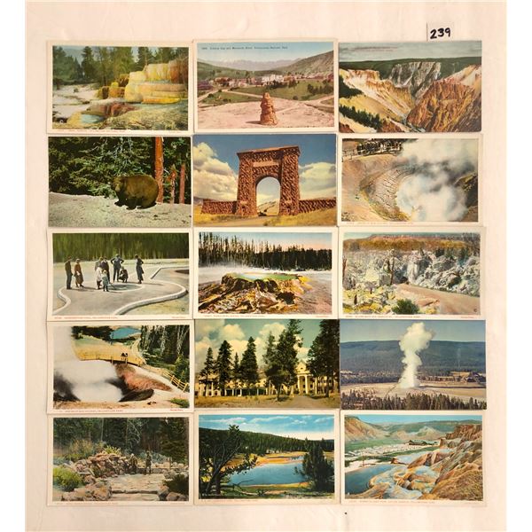 Yellowstone National Park Postcards 200+